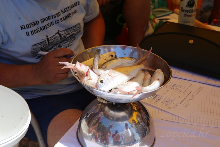 &Scaron;RK Felun; Od 8.siječnja počinje prodaja godi&scaron;njih &scaron;portskih ribolovnih dozvola