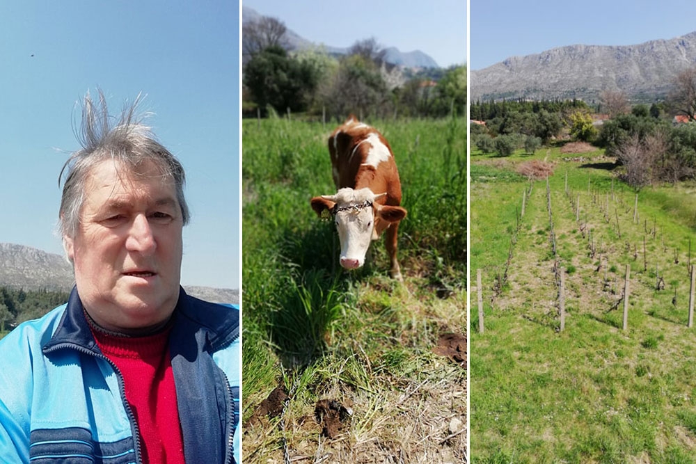 Kako provodite vrijeme u izolaciji?  Vlaho Kesovija "Živimo, ko na&scaron;i đedovi, radimo oko ba&scaron;tine i dani prolaze"