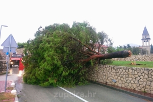 Jako jugo; Nekoliko intervencija vatrogasaca, zatvoren promet kroz Mandaljenu (FOTO)