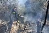 Požar otvorenog prostora u Čibači izgorjelo oko 400 metara kvadratnih niskog raslinja (FOTO)