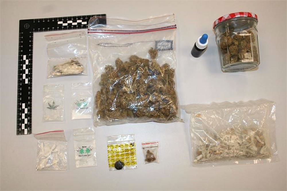 Dubrovačko-neretvanska policija tijekom srpnja drogu prona&scaron;la kod 79 osoba, pronađena i u Župi dubrovačkoj