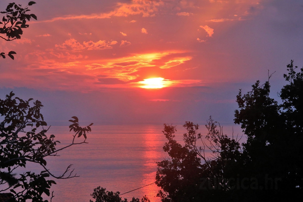 Nazdravlje Vam Stara godina