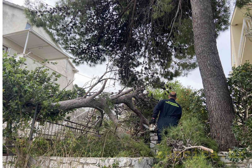 Intervencija župskih vatrogasaca na uskrsno jutro; Vjetar sru&scaron;io bor na prolaz između kuća u Čibači (FOTO)