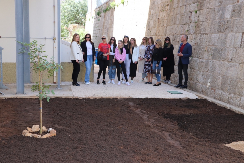 Dubrovačko-neretvanska županija se pridružila akciji "Zasadi stablo, ne budi panj!"