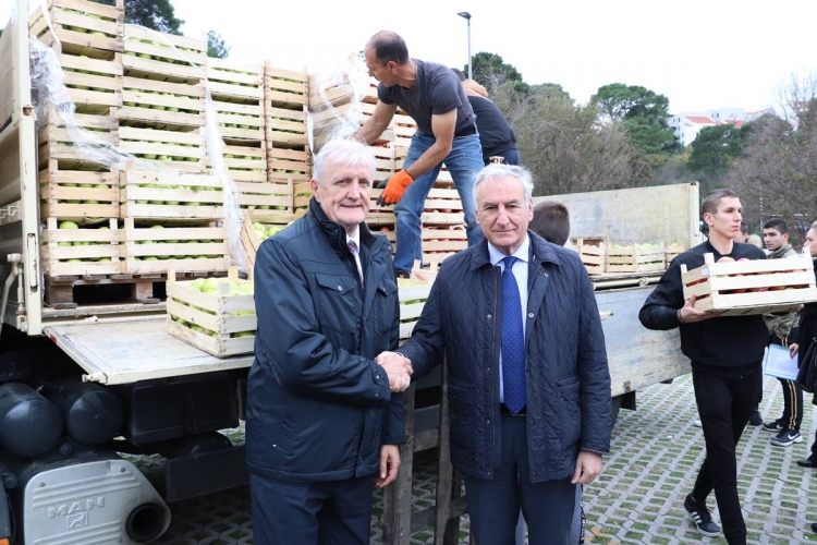 Ustanovama i udrugama pet tona jabuka iz Vukovarsko-srijemske županije