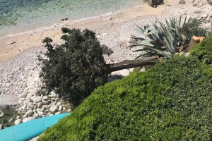 Tko je otpilao čempres na ulazu u park Striježice ? - Iz Općine mole za informaciju
