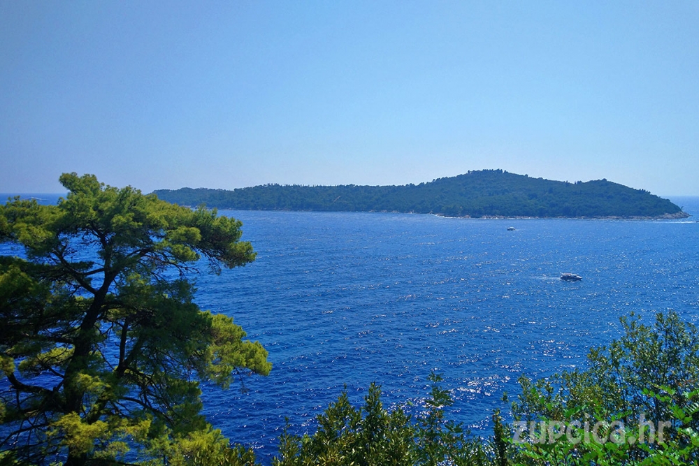 Rezervat Lokrum; Prva tri dana veljače prijevoz do otoka besplatan za sve posjetitelje!