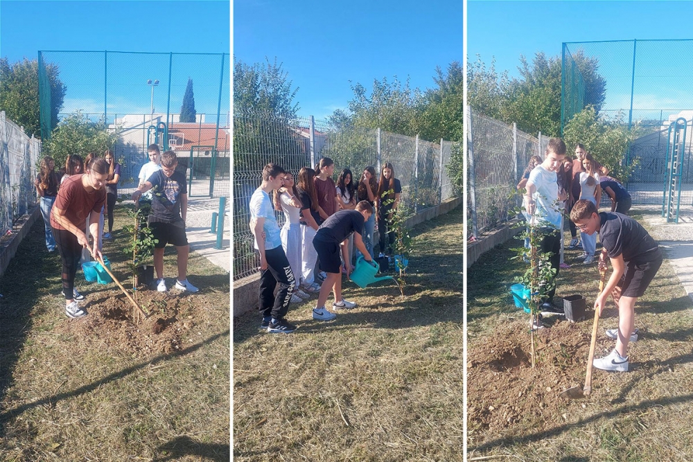 Povodom Dana sadnje drveta peta generacija osma&scaron;a župske &scaron;kole zasadila svoje stablo rogača