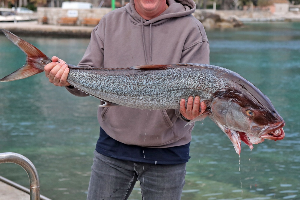 &Scaron;portsko ribarski klub Felun organizira "Big Game Felun" - Turnir u ribolovu na velike ribe