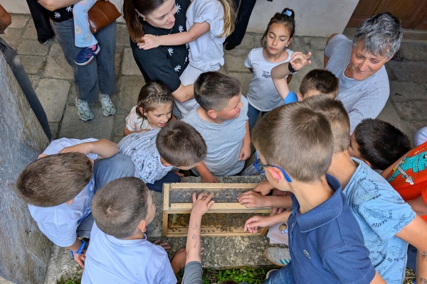 Mala bića velike važnosti: U sklopu akcije Budi kao Cvijeto mno&scaron;tvo djece obilježilo Dan pčela u Pridvorju