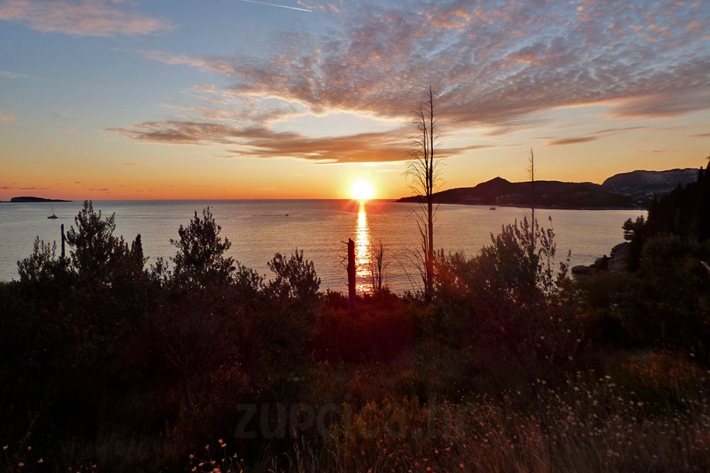Nazdravlje Vam Stara ... Adio godini koja nas je žestoko posvađala i podijelila
