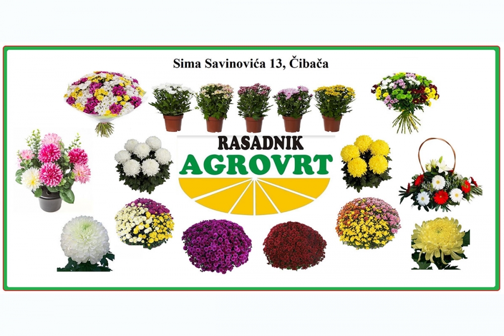 Rasadnik AGROVRT u Čibači povodom Du&scaron;nog dana i blagdana Svih Svetih nudi bogat izbor cvijeća
