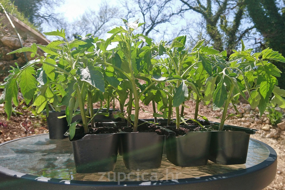 Centar za poduzetni&scaron;tvo poziva na online seminare za OPG-ove i proizvođače o zakonskim obvezama vođenja evidencije