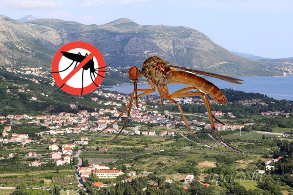 Obavijest iz Općine; Sutra rano ujutro adulticidna dezinsekcija komaraca od Dupca do Plata