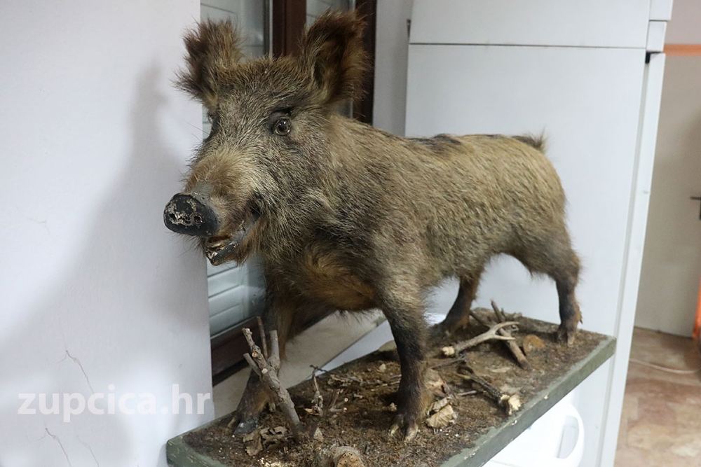 Počeo s radom sustav za izobrazbu lovca putem edukacijske platforme Hrvatskog lovačkog saveza