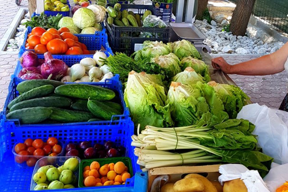 Općina objavila Javni poziv za dodjela potpora u poljoprivredi u 2025. godini