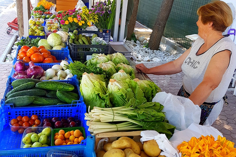 Sve je bolje kad je domaće! Javni poziv za prodaju na Župskoj placi Srebreno i Župskoj placi Čibača.