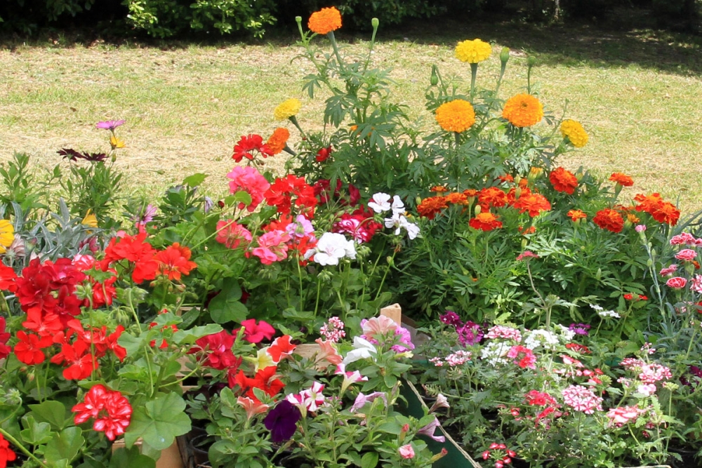 Svim na&scaron;im čitateljicama čestitamo 8. ožujka - Međunarodni dan žena