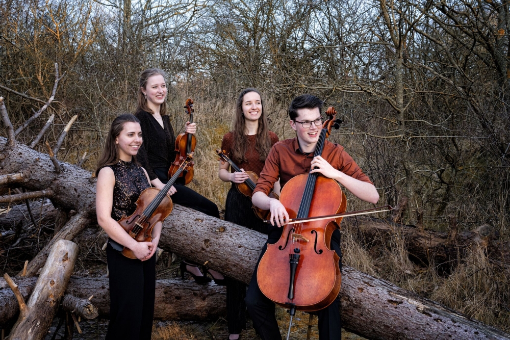 DPDS; Koncert nizozemskog Viride Kvarteta u Kneževu dvoru u Slanom